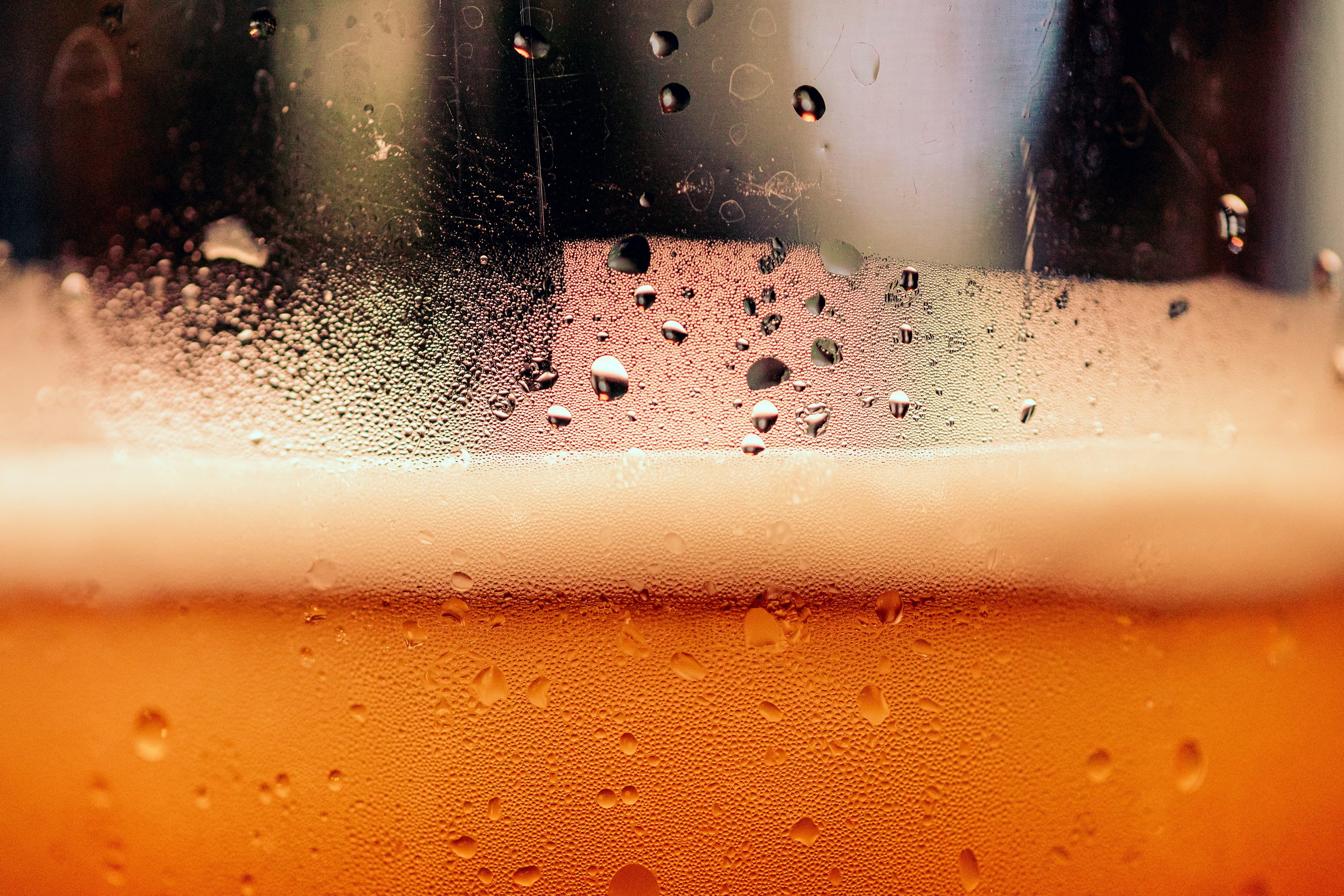 Birra Artigianale: Degustazione & Stili