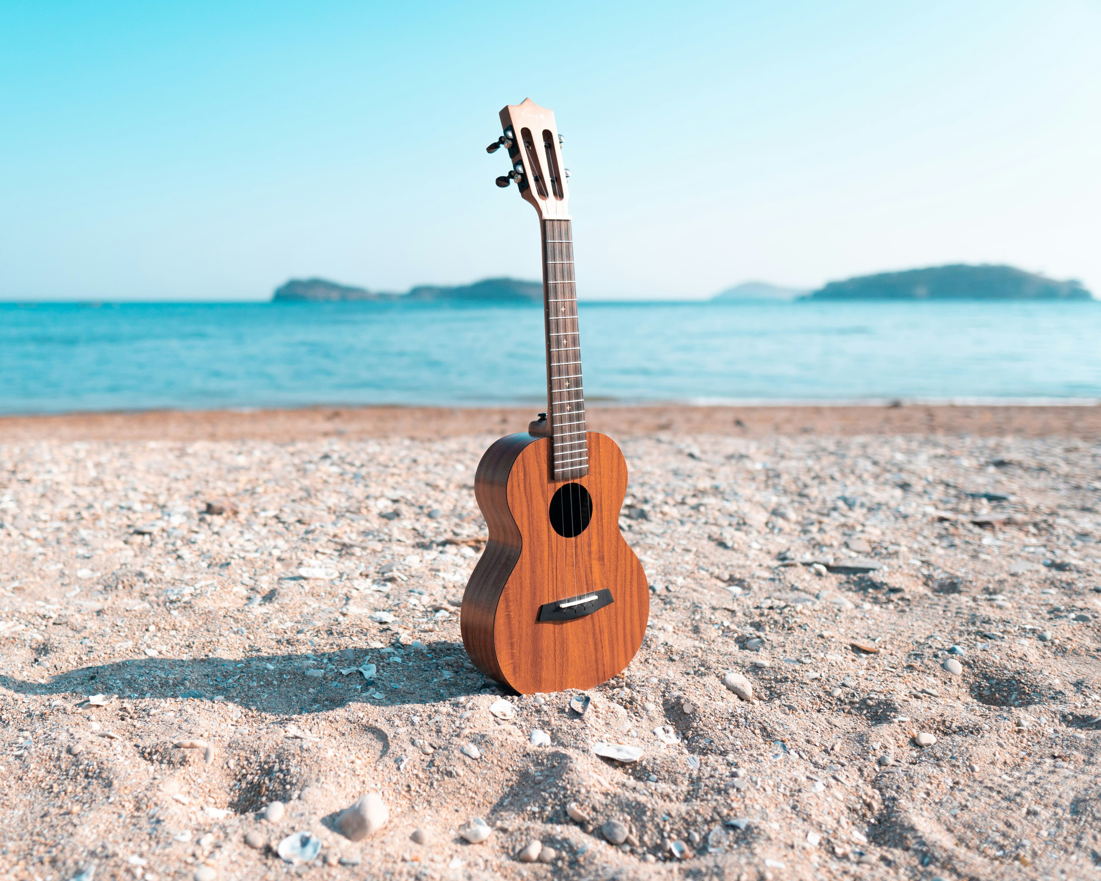 Ukulele: Suona in un Weekend